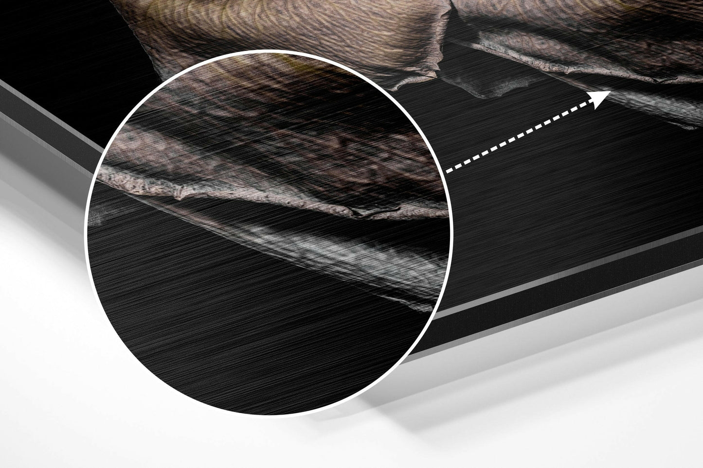 Rose Brushed Aluminium Dibond Wall Art